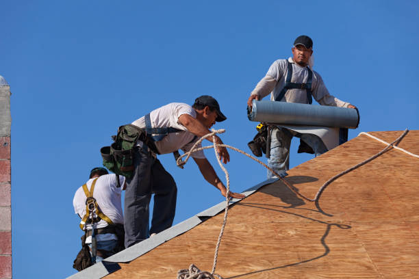 Trusted Webb City, MO Roofing Contractor Experts